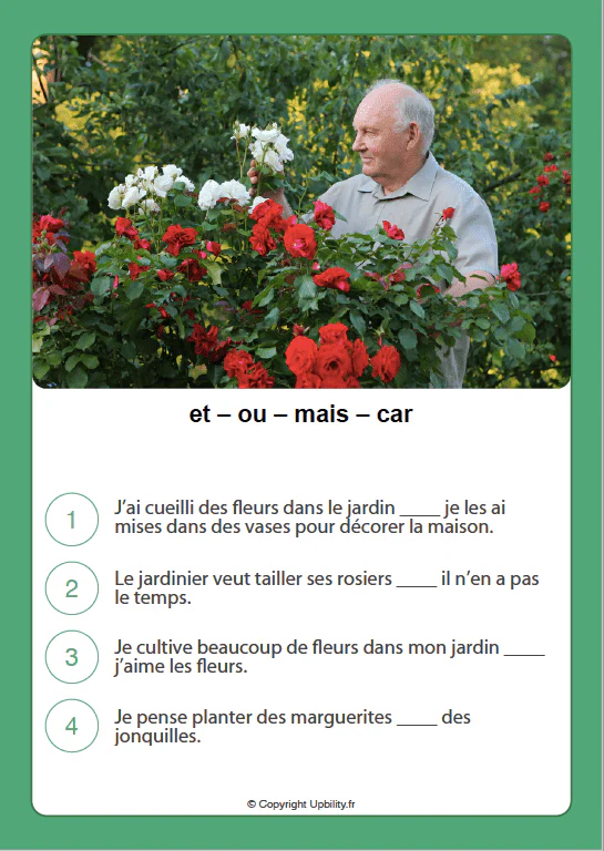FICHES ILLUSTRÉES | Apprendre à utiliser les conjonctions - Image 3