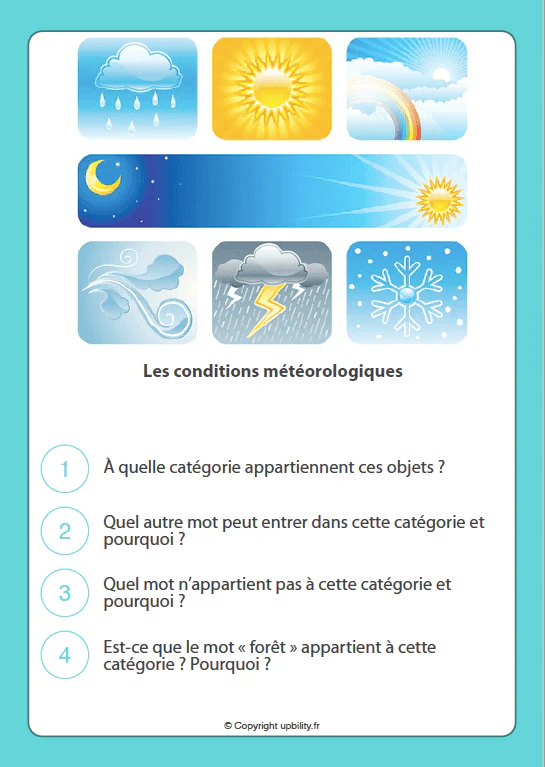 FICHES ILLUSTRÉES | Classer en catégories - Image 4