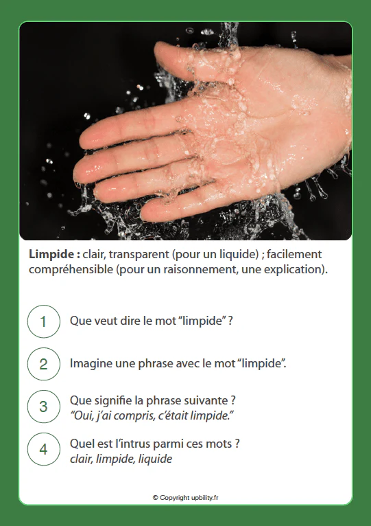 FICHES ILLUSTRÉES | Développement du vocabulaire (14-15 ans) - Image 6