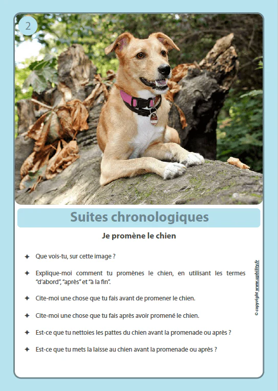 FICHES ILLUSTRÉES | Suites chronologiques - Image 4
