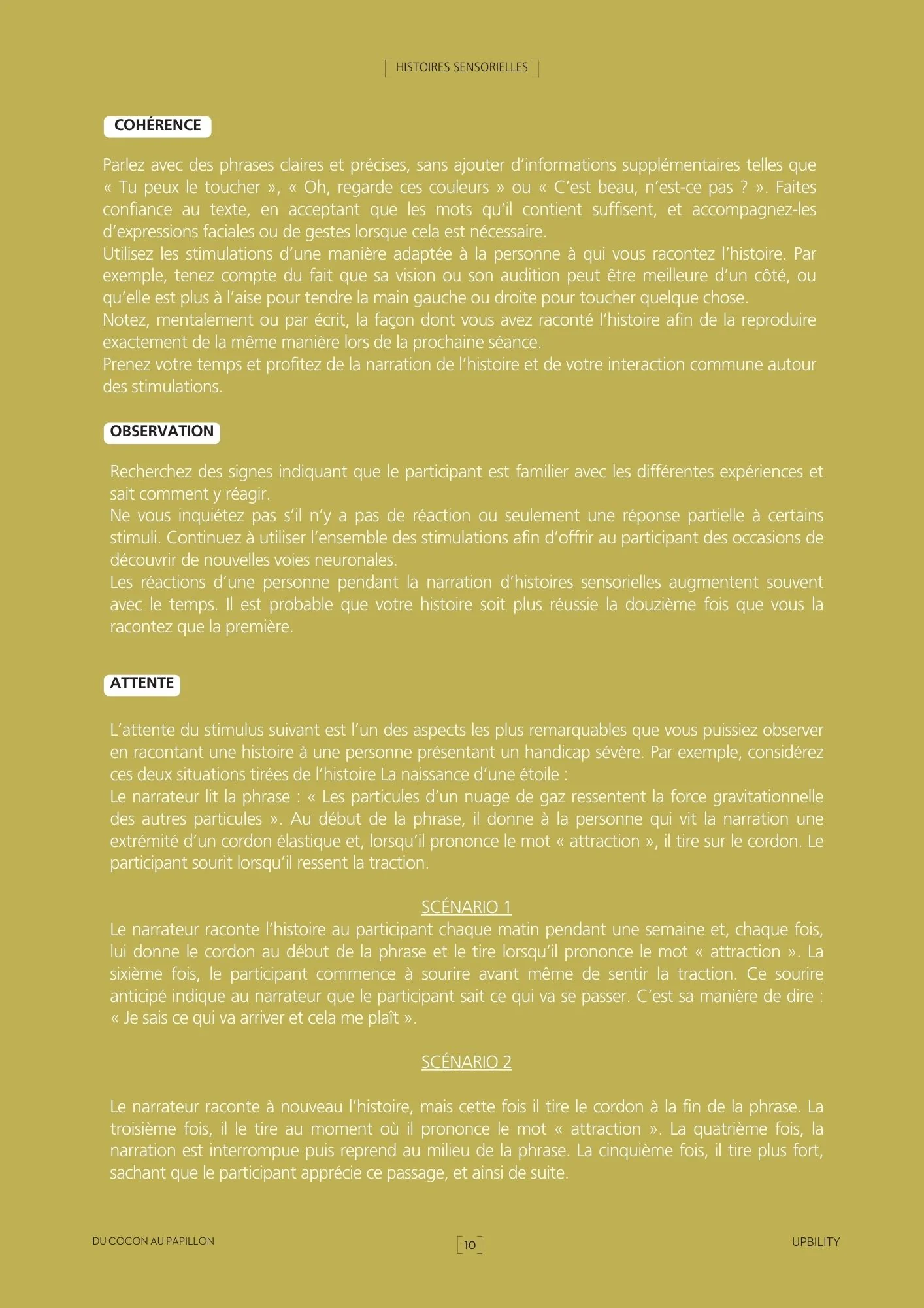 Histoires Sensorielles | Du cocon au papillon - Image 3