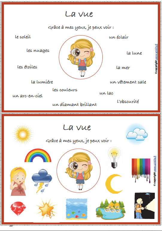 LES CINQ SENS  | Notions et vocabulaire - Image 10