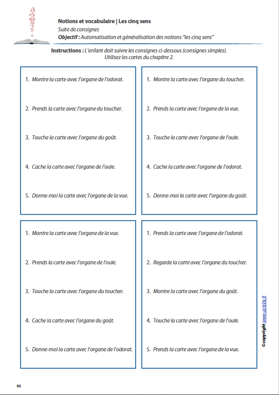 LES CINQ SENS  | Notions et vocabulaire - Image 3