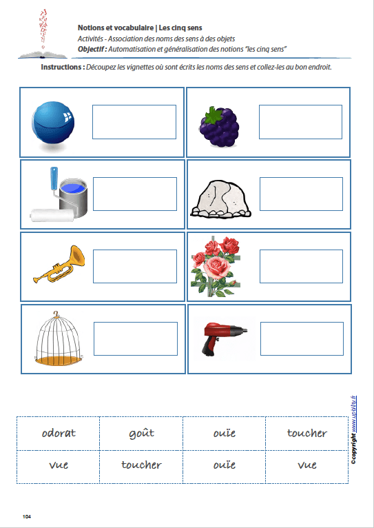 LES CINQ SENS  | Notions et vocabulaire - Image 5