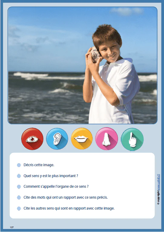 LES CINQ SENS  | Notions et vocabulaire - Image 7