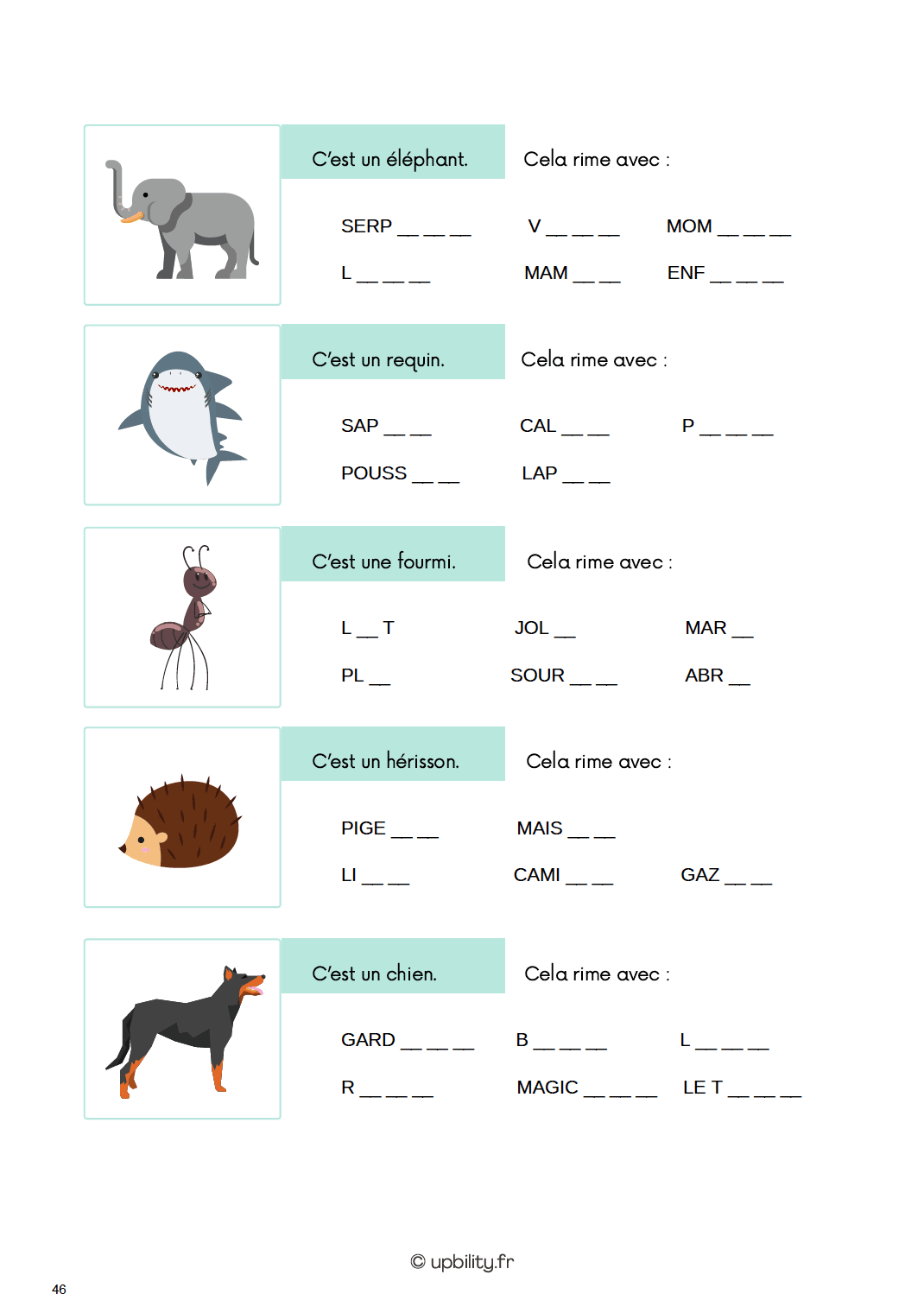 Loïs et Noé découvrent l'univers des animaux - Image 7