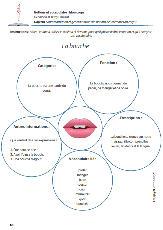 MON CORPS | Notions et vocabulaire - Image 10