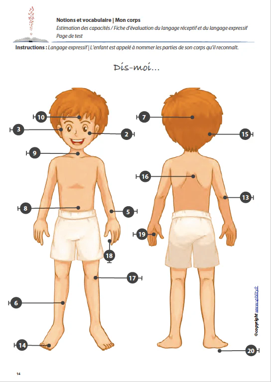 MON CORPS | Notions et vocabulaire - Image 3