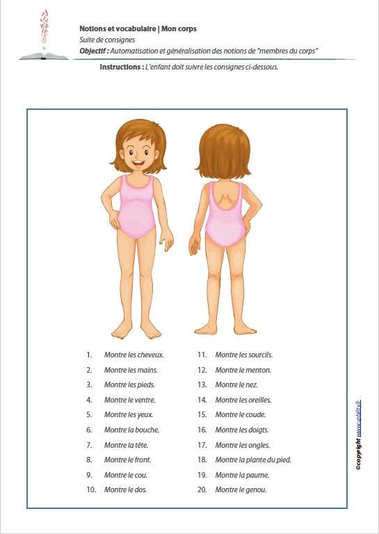 MON CORPS | Notions et vocabulaire - Image 6