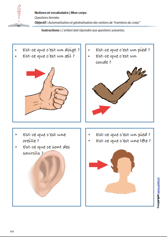 MON CORPS | Notions et vocabulaire - Image 7