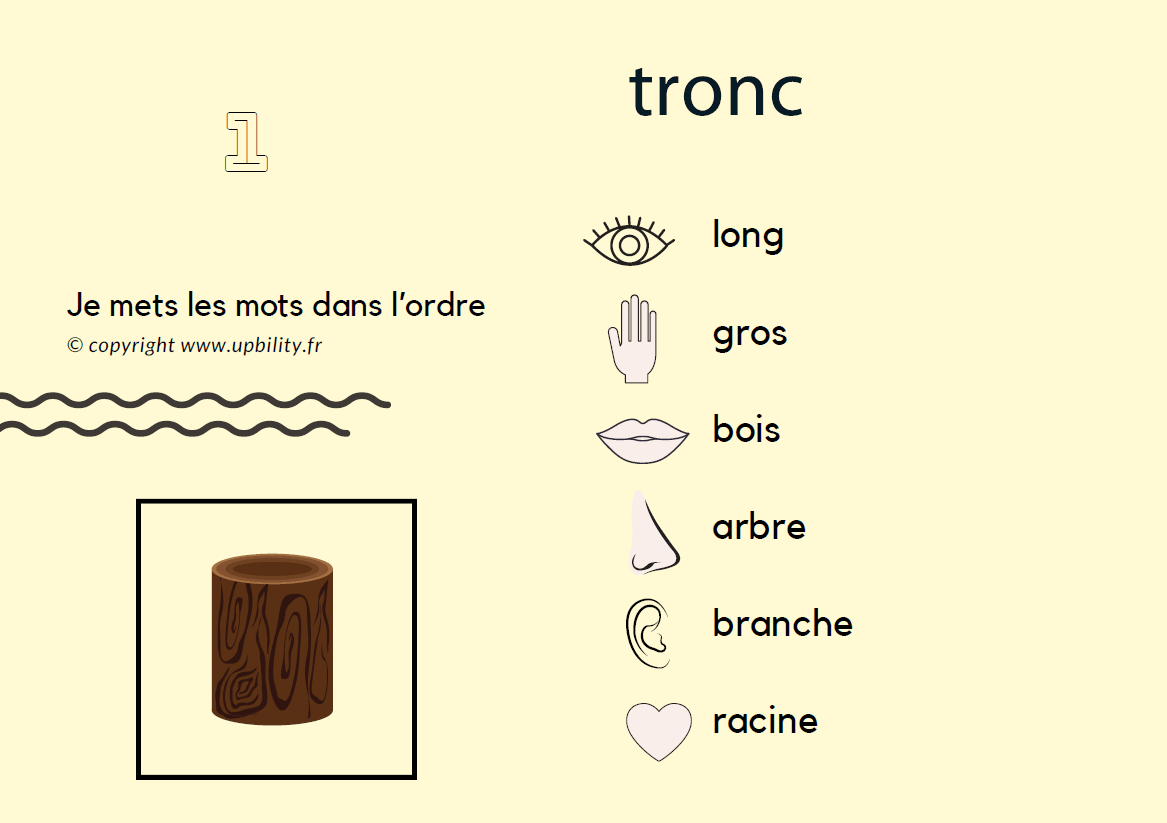 POCKET CARDS | Description (partie 2) - Image 3